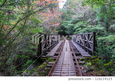秋葉、電車橋、屋久島國立公園(秋季) 秋葉、電車橋、屋久島國立公園(秋季) 128214125