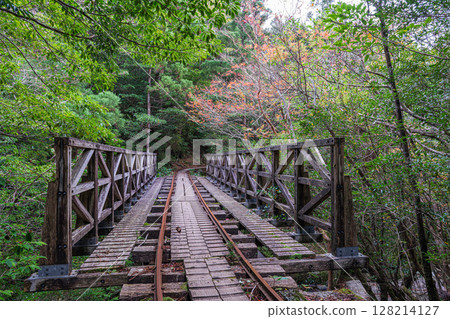 Autumn leaves, Trolley Bridge, Yakushima National Park (Autumn) 128214127