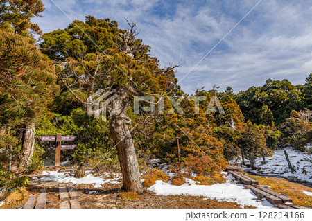 Paradise above the clouds Hananoegawa World Natural Heritage Yakushima (Winter) 128214166
