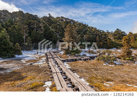 Paradise above the clouds Hananoegawa World Natural Heritage Yakushima (Winter) 128214168