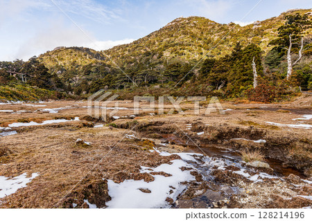 Yakushima World Natural Heritage Wetlands (December) Hananoegawa High Moor and Mt. Kuromi 128214196