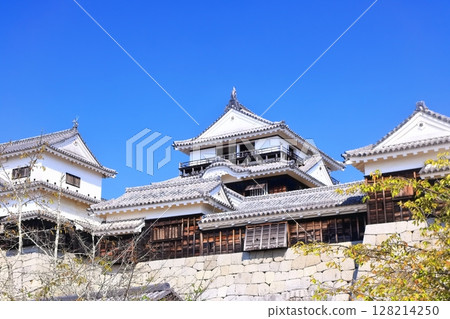 [Ehime Prefecture] Matsuyama Castle tower (12 remaining towers) on a clear autumn day 128214250
