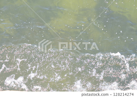 Sea Sea 128214274