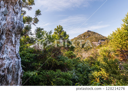 雲層之上的天堂,藍天和小番山,世界自然遺產,屋久島(冬季) 雲層之上的天堂,藍天和小番山,世界自然遺產,屋久島(冬季) 128214276