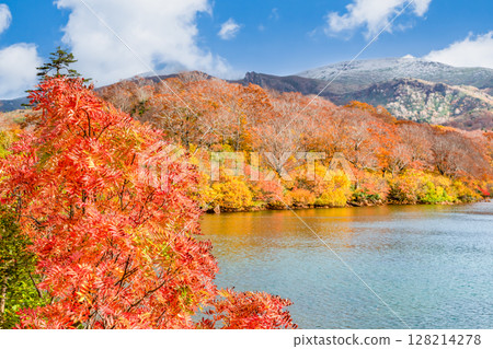 Akita: Lake Sugawara in autumn colors and snow-capped Mount Kurikoma 128214278