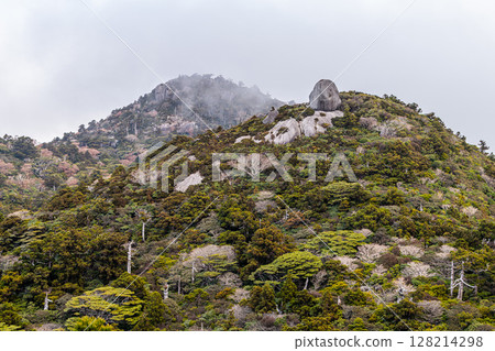 Paradise above the clouds, the summit of a gigantic rock, World Natural Heritage site Yakushima (winter) 128214298