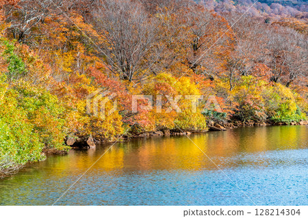 秋田:紅葉染紅的菅原湖 秋田:紅葉染紅的菅原湖 128214304