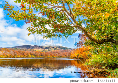 Akita: Lake Sugawara in autumn colors and snow-capped Mount Kurikoma 128214311
