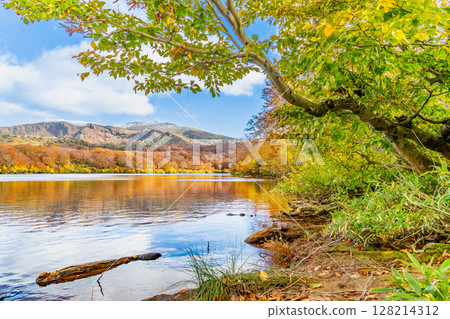 Akita: Lake Sugawara in autumn colors and snow-capped Mount Kurikoma 128214312