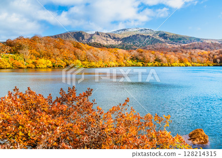 Akita: Lake Sugawara in autumn colors and snow-capped Mount Kurikoma Akita: Lake Sugawara in autumn colors and snow-capped Mount Kurikoma 128214315