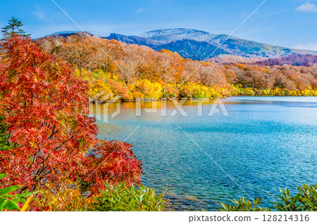 Akita: Lake Sugawara in autumn colors and snow-capped Mount Kurikoma 128214316