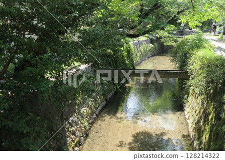 京都銀閣寺,綠樹成蔭 京都銀閣寺,綠樹成蔭 128214322