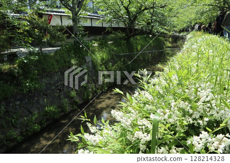 京都銀閣寺,綠樹成蔭 京都銀閣寺,綠樹成蔭 128214328