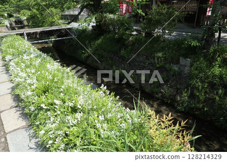 Ginkakuji Temple in Kyoto, full of fresh greenery Ginkakuji Temple in Kyoto, full of fresh greenery 128214329