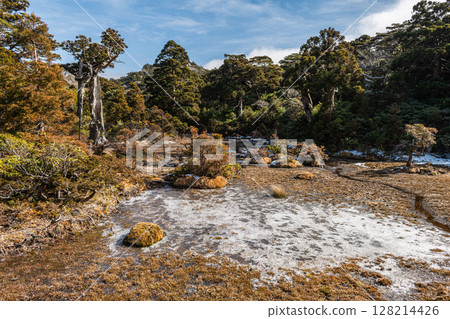 Paradise above the clouds, Kobana no Egawa, World Natural Heritage Site, Yakushima (Winter) Paradise above the clouds, Kobana no Egawa, World Natural Heritage Site, Yakushima (Winter) 128214426