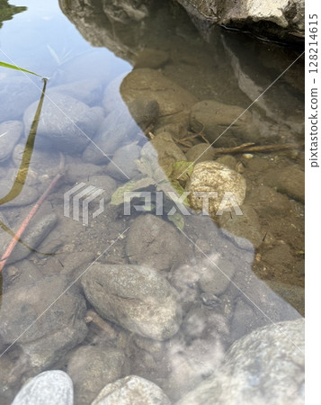 Riverside with creatures 128214615