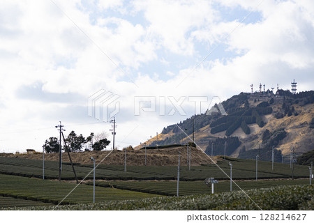 Tea characters and tea fields on Mt. Awa in winter 128214627