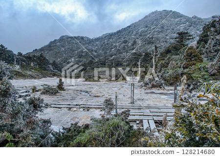 Paradise above the clouds: Hananoegawa and Mt. Kuromi, World Natural Heritage Site, Yakushima (Winter) 128214680