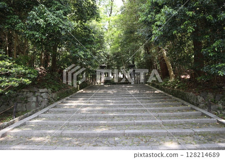 京都法然院,綠意盎然 京都法然院,綠意盎然 128214689
