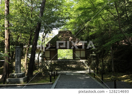 京都法然院,綠意盎然 京都法然院,綠意盎然 128214693