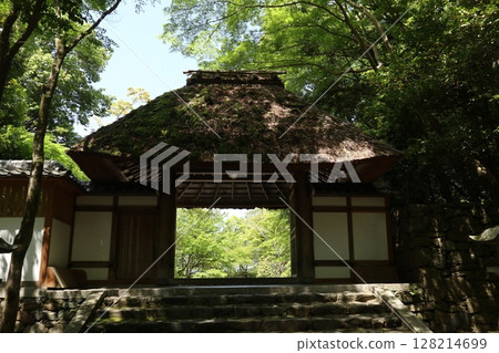 京都法然院,綠意盎然 京都法然院,綠意盎然 128214699