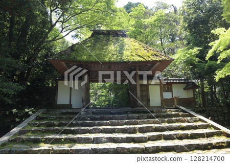 京都法然院，綠意盎然 128214700