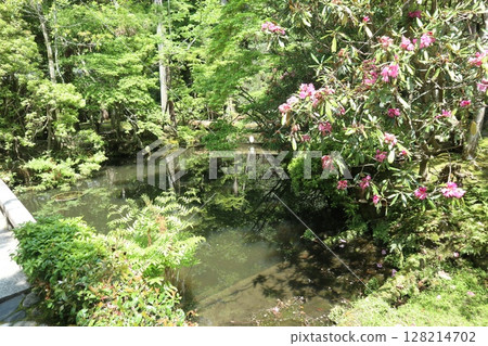 京都法然院，綠意盎然 128214702
