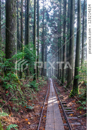 祖先的遺產：屋久島國立公園的杉山和電車軌道（冬季） 128214834