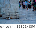 Cat sleeping on cobblestones 128214866