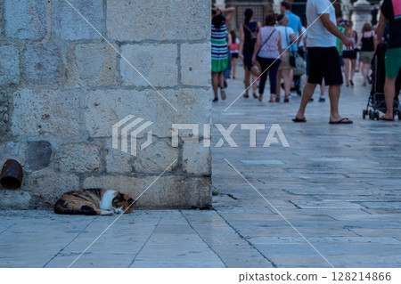 睡在鵝卵石上的貓 睡在鵝卵石上的貓 128214866