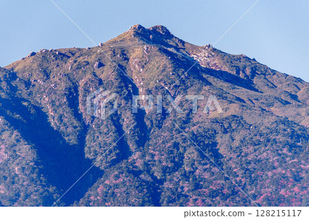 Miyanouradake, one of Japan's top 100 mountains, World Natural Heritage Site Yakushima (winter) 128215117