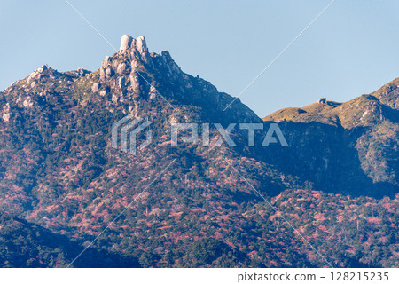 屋久島世界自然遺產：雄偉的沖繩山（冬季） 128215235