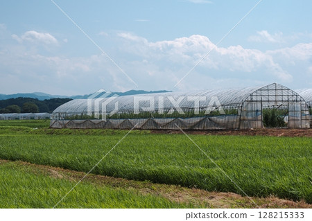 日本鄉村風景 日本鄉村風景 128215333