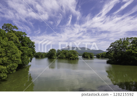 Onuma Quasi-National Park with the blue sky of early summer 128215592