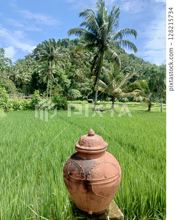 old clay pot in the rice field old clay pot in the rice field 128215734