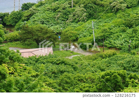 從龍飛埼燈臺（青森縣外濱町）眺望國道339號線的階梯 128216175