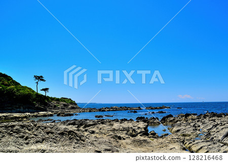 Miura Peninsula - Arasaki Rias Coast 128216468