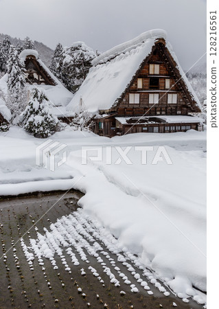 Snow-covered winter World Heritage Site Shirakawa Village (Shirakawa-go) Gifu Prefecture: January 128216561