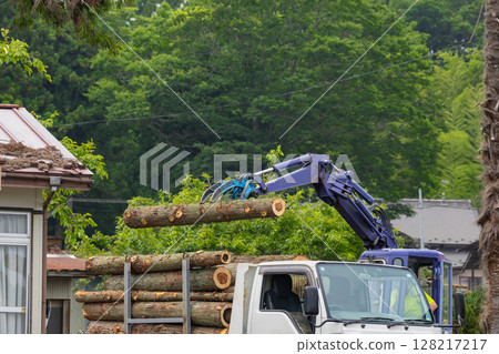 使用林業機械 Gripple 附件裝載原木 128217217