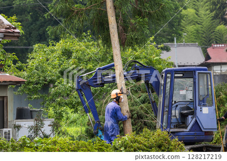 Special felling: Felled trees transported by crane 128217219