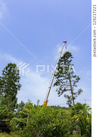 特殊砍伐：用起重機吊運砍伐的樹木 128217221