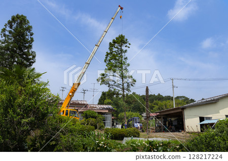 特殊砍伐：用起重機吊運砍伐的樹木 128217224