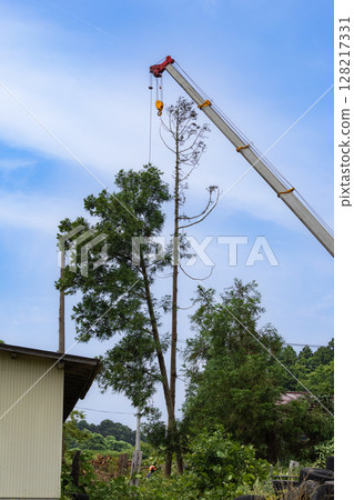 特殊砍伐：用起重機運送砍伐的樹木 128217331