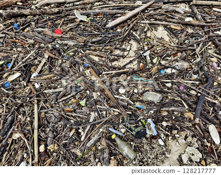 A beach heavily littered with wood and plastic A beach heavily littered with wood and plastic 128217777