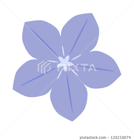 秋天的素材，風鈴草插圖 128218074