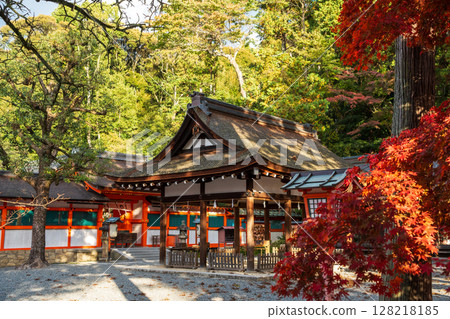 京都吉田神社靜謐的庭院，周圍環繞著鮮豔的秋葉。京都府京都市左京區 128218185