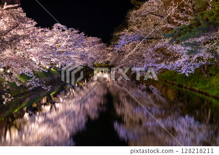 Hirosaki Park, Shimoshirogane-cho, Hirosaki City, Aomori Prefecture: Illuminated rows of Somei-Yoshino cherry trees surrounding the outer moat of Hirosaki Castle and a reflection on the water surface 128218211