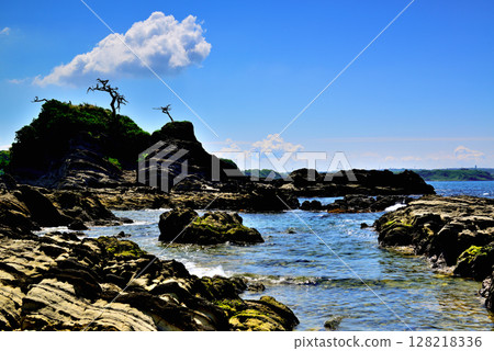 Miura Peninsula - Arasaki Rias Coast 128218336