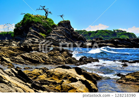 三浦半島～荒崎裡亞斯海岸 128218390
