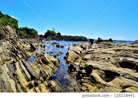 三浦半島～荒崎裡亞斯海岸 128218441
